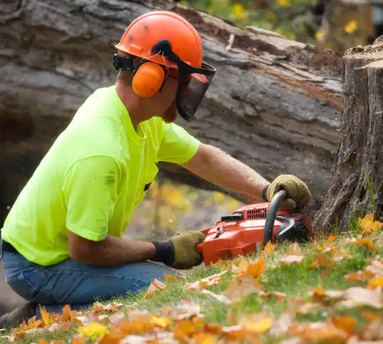 tree services Adamstown